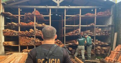 PF realiza operação contra receptação ilegal de madeira e fraudes ambientais
