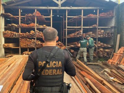 PF realiza operação contra receptação de madeira e fraudes ambientais no Maranhão