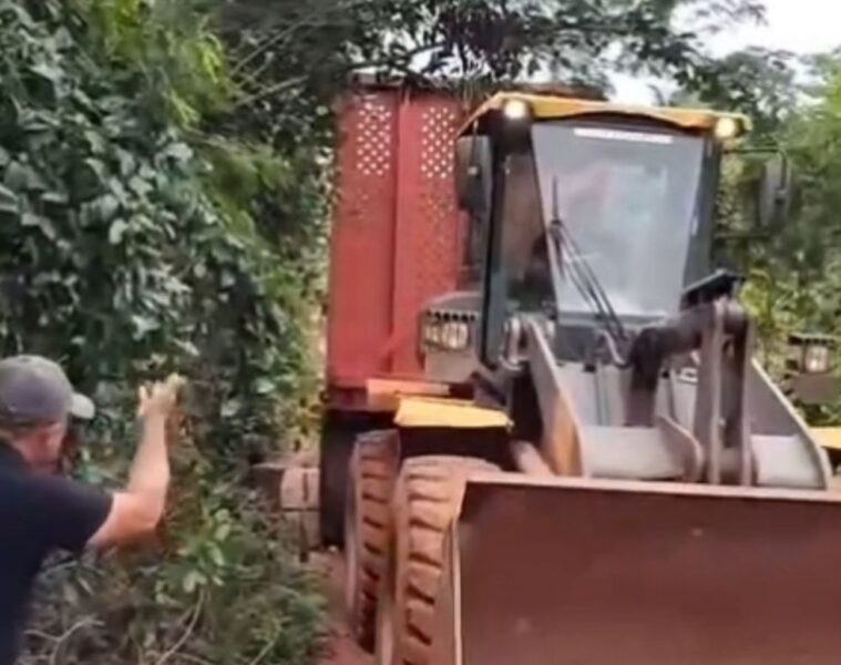 Foto: Reprodução