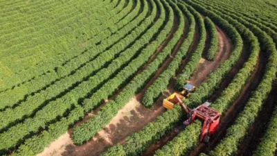 No Brasil o Agronegócio carrega a Economia sozinho, mas até quando?