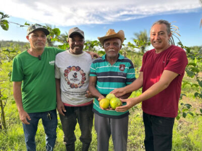 Agerp e Prefeitura de Bequimão investem em inovação no campo com experimento agrícola em comunidade quilombola