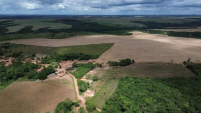 “Chuvas de agrotóxicos” provocadas em grandes plantações Maranhão são denunciadas à ONU