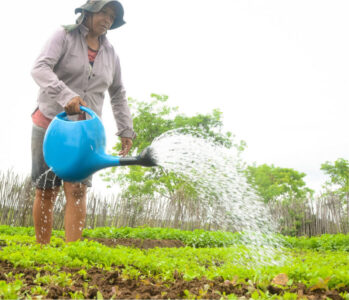 Desenrola Rural beneficia mais de 360 mil agricultores atendidos pelo BNB