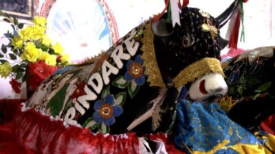 Bumba Boi de Pindaré nunca foi de Pindaré, diz o seu amo, Mestre Castro