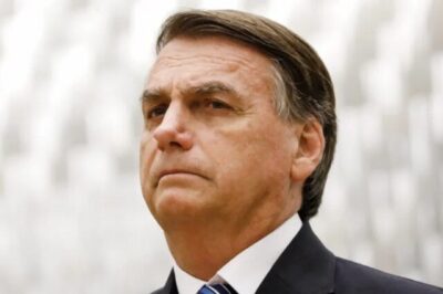 MPF: Bolsonaro não teve intenção de importunar baleia e arquiva investigação