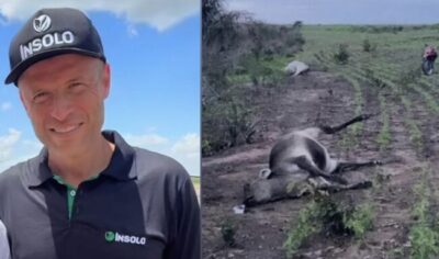 Produtores agrícolas denunciam violência e ameaças por parte de empresa no MA