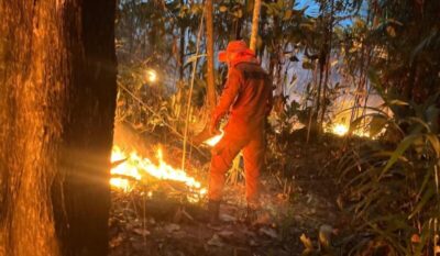 Maranhão lidera ranking nacional de combate a incêndios, aponta Mapa da Segurança Pública