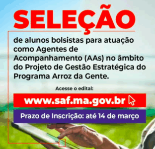Programa Arroz da Gente prorroga inscrições para técnicos