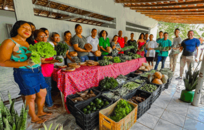 PROCAF beneficia 100 famílias em Bela Vista do Maranhão