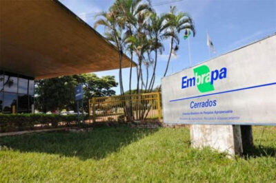 Embrapa marca presença na Agrobalsas por meio do Hub Matopiba