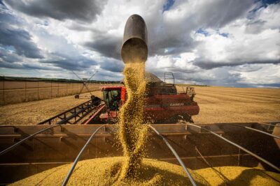 Aprosoja Maranhão vai à Justiça contra taxa do governo do MA sobre exportação de grãos