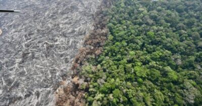 Desmatamento na Amazônia salta 92% em maio, aponta Inpe