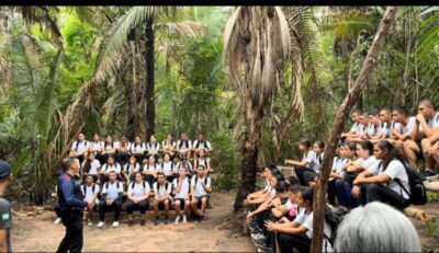Integração da natureza na Educação: um novo olhar para o futuro