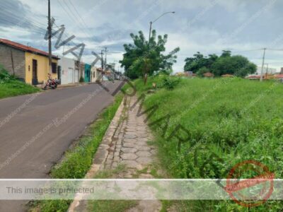 RECLAMAÇÃO: Moradora reclama de matagal na praça da Avenida Primeiro de Maio