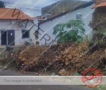 Repórter Jair Ribeiro mostra lixarada e urubuzada em terreno baldio próximo ao centro de Codó e cobra providências da Prefeitura