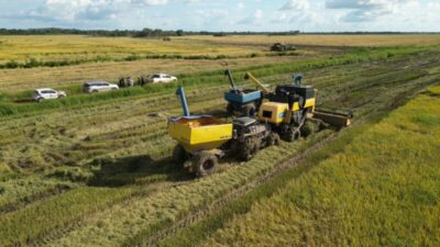 São Mateus Bate Recorde Histórico na Produção de Arroz e Abre o AgroSamas 2025 com Presença de Lideranças Estaduais e Regionais