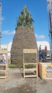 Abacaxi gigante atrai atenção em parque junino