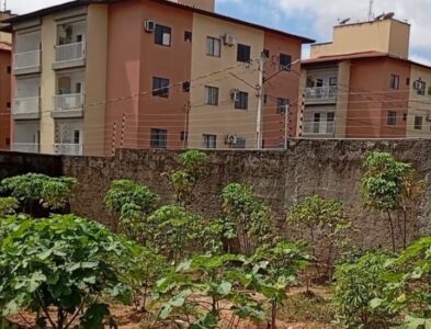 Terreno que era lixeiro é transformado em horta entre os condomínios Eco Park e Eco Space no Anil