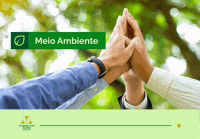 Justiça obriga Município de São Luís a retirar ecopontos em áreas verdes