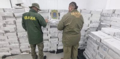 Carga de 12 toneladas de peixes e pescados no Maranhão e exportados ilegalmente é barrado nos EUA