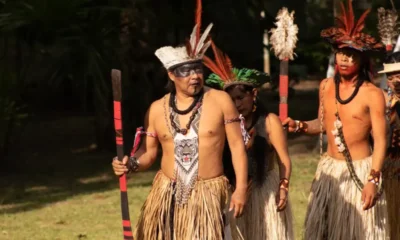 Operação contra invasores de Terra Indígena ocupada no MA gera quase R$ 1 mi em infrações