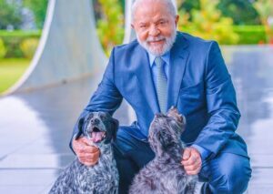 Lula lança SinPatinhas, sistema inédito de registro para cães e gatos no país