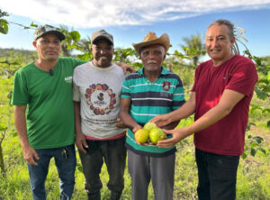 Agerp e Prefeitura de Bequimão investem em inovação no campo com experimento agrícola em comunidade quilombola