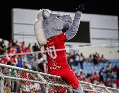 Sampaio vira freguês do Imperatriz e leva nova patada do Cavalo neste sábado