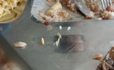 ABSURDO!!! Estudantes encontram larvas em comida podre servida no Restaurante Universitário da UFMA