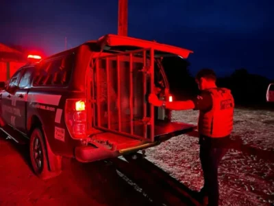 Médico e ex-major do Exército são presos por posse ilegal de armas de fogo em São Bento