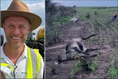 Empresa do agronegócio é alvo de denúncias graves no Maranhão