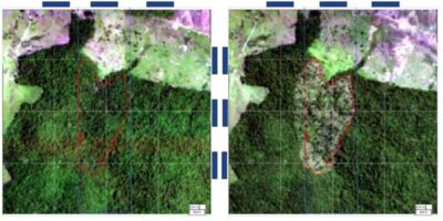 BNDES retém R$ 54,6 milhões em crédito a donos de terras com desmatamento ilegal no Maranhão