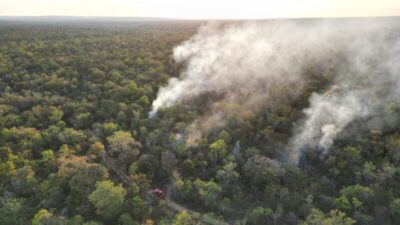 Aliança da Terra inicia ações para fortalecer gestão do fogo no Maranhão