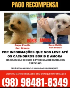 Polícia segue buscas por dupla que furtou cães durante assalto no Calhau
