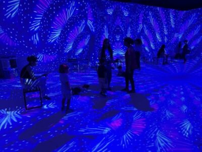 Shopping da Ilha recebe exposição imersiva “Oceano Vivo” com visitas de segunda a sábado