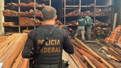 Polícia Federal realiza operação contra receptação de madeira ilegal e fraudes ambientais no Maranhão