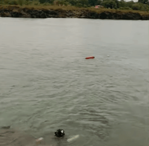 Tanque de caminhão com ácido sulfúrico que caiu no rio Tocantins possui fissuras, aponta Ibama