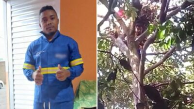 Após 72h, maranhense desce de árvore e é levado ao hospital