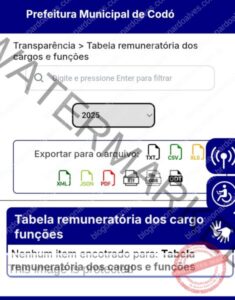 Vereador Leonel Filho transforma Câmara em palanque da Prefeitura e espalha fake news em sessão