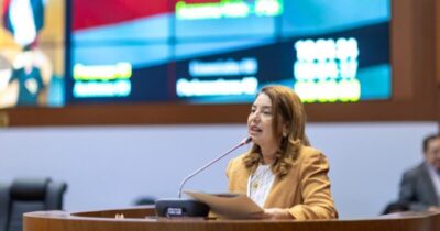 Assembleia: Dino e Zanin também votam a favor de Iracema Vale, mas Fux pede destaque