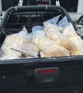 Polícia Civil do Maranhão apreende 75kg de cartilagens de barbatanas que seriam enviadas para China e outros países asiáticos