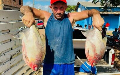 Prefeitura de Pinheiro aquece economia e entrega diversas toneladas de peixes aos moradores adquiridas dos produtores locais