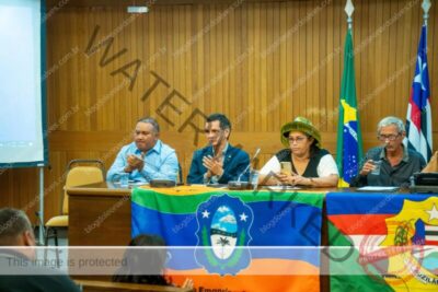 Deputado Ricardo Arruda participa de audiência sobre criação de novos municípios