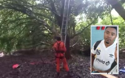 Homem do Maranhão está há mais de 30 horas em árvore na Base Aérea de Salvador após surto psicótico