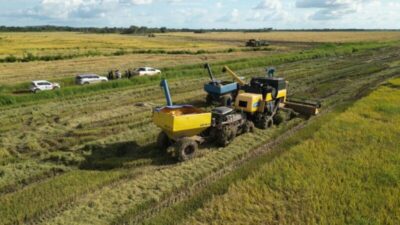 São Mateus bate na produção de arroz e abre o AgroSamas 2025 com grande expectativa de negócios