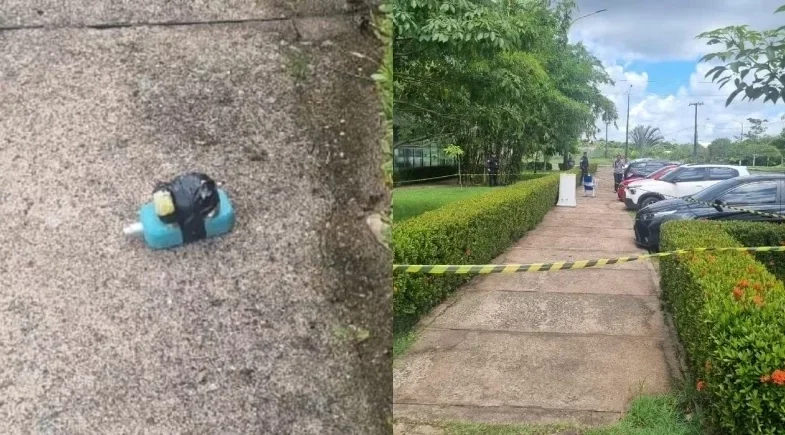Foto: Reprodução