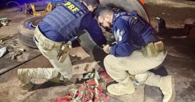 PRF apreende quase 200kg de drogas em pneus de caminhão na BR-135