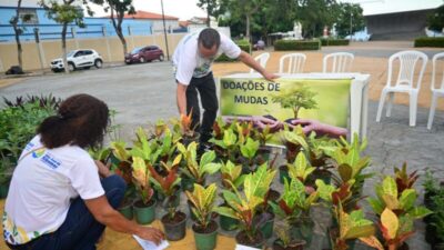 Semana do Meio Ambiente é encerrada com distribuição de mudas em São José de Ribamar