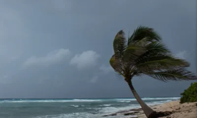 Estados do Nordeste se preparam para período de chuvas intensas