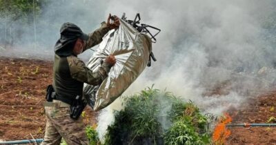 PF deflagra Operação Encadeamento em combate ao plantio ilícito de maconha em Grajaú/MA